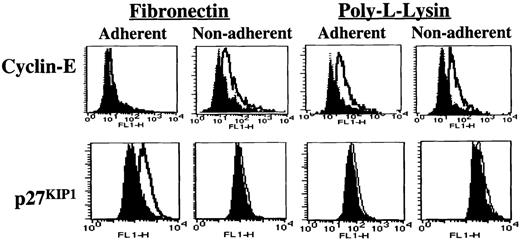 Fig. 4. Adhesion to FN. / Adhesion to FN leads to increased levels of p27KIP1 and decreased levels of cyclin-E. Mobilized blood CD34+ cells, cultured for 48 hours in serum-free medium with low-dose cytokines, were incubated with the activating anti–β1-integrin antibody 8A2 for 30 minutes at 37°C and plated in PLL- or FN-coated dishes for 12 to 16 hours. Adherent and nonadherent cells were collected separately. Cells were fixed, permeabilized, and incubated with antibodies directed at p27KIP1 and cyclin-E (open histogram) or isotype control (closed histogram) antibody at room temperature for 30 minutes followed by FITC-conjugated goat antimouse immunoglobulin for 30 minutes in the dark. Cells were washed and resuspended in 50μg/mL propidium iodide. Cells were analyzed on a FACS-Calibur flow cytometer with the use of CellQuest software. A representative example of 5 individual experiments is shown.
