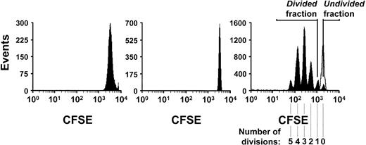 Fig. 1. Fluorescence profiles of CFSE-labeled mouse lin− BM cells. / Profiles shown are of cells before (left panel) and after (middle panel) FACS selection of the most brightly labeled subpopulation using a 30 channel-wide gate. The right panel shows the fluorescence profile of the cells recovered another 2 days later, after placing the selected CFSE+ cells (middle panel) into serum-free cultures containing FL, SF, and IL-11 either with (open peak) or without (solid peaks) colcemid. The distribution of cells according to the number of divisions they completed in the 2 days in culture after being labeled is shown by the different sized peaks corresponding to serial 2-fold decreases of fluorescence intensity. The fluorescence intensity of the cells incubated with colcemid confirms the position on a similar plot of the cells that had not divided.
