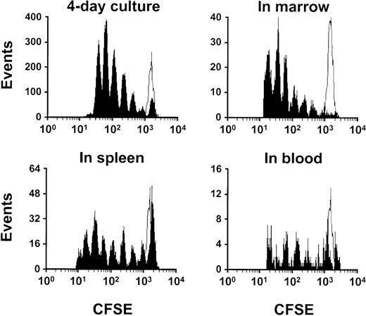 Fig. 3. Comparison of the fluorescence profiles of CFSE+ BM cells after maintenance in culture or in vivo in different tissues. / LD BM cells were labeled overnight, and then CFSE+ cells were analyzed after 3 further days of culture (labeled BM cells cultured with FL, SF, and H-IL-6 growth factors, top left panel) or after 3 days after transplantation of 3 × 106–labeled LD BM cells. Results are shown for cells harvested from the BM (top right panel), spleen (bottom left panel), and blood (bottom right panel) of the injected mice. The distribution of cells among different subpopulations with different proliferative histories is similar for the cells expanding in vitro and in vivo, although there is a slight but obvious shift to the left of the cells obtained from the mice (up to 8 cell divisions in the spleen) compared with the cells maintained in culture for the same period prior to analysis (just a few cells entering the seventh progeny generation). The open peak indicates the fluorescence profile of the same cells maintained in vitro with colcemid to fix the position of the undivided cells.