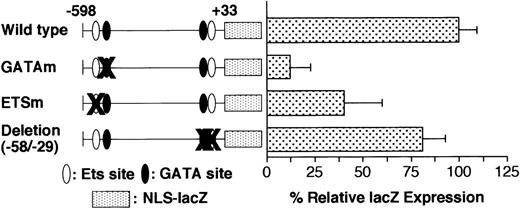 Fig. 4. Effect of deletion and mutation of the GATA and ETS binding sites on GPIIb promoter activity in megakaryocytes. / Wild-type promoter, promoters with mutations in the GATA (GATAm) or Ets binding site (ETSm), and promoters with deletions of the proximal GATA and Ets binding sites were analyzed. The percentages ofLacZ-positive cells per AChE-positive cells were calculated on day 8 of differentiation induction in the presence of TPO. The results are shown as the relative percentage of LacZexpression compared with the value for the −598/+33 wild-type promoter. The data are shown as the mean ± standard deviation. GATAm and ETSm show significant differences from the wild type (P < .05 by t test). Each experiment was performed 2 or 3 times, and representative data are shown.