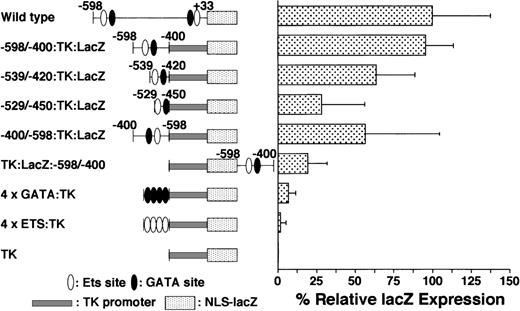 Fig. 5. LacZ gene expression driven by different promoters in megakaryocytes. / The percentages of LacZ-positive cells in megakaryocytes driven by various promoters plus the TK-LacZ gene were examined as described in Figure 2. The details of individual constructs are explained in the text. Data are shown as mean ± standard deviation. All of the results except −598/−400:TK:LacZ are significantly different from the data for the wild type (P < .05 by t test). All of the results except 4 × ETS are significantly different from the results for TK alone (P < .05 by t test). Each experiment was performed 2 or 3 times, and representative data are shown.
