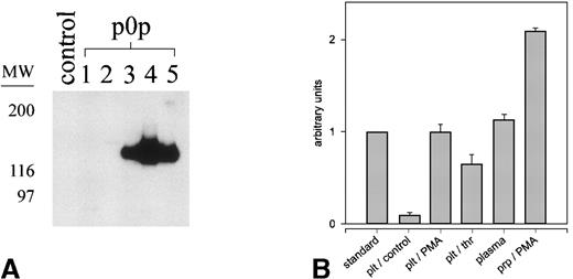 Fig. 3. Detection and quantification of glycocalicin in mouse plasma. / Blood (50 μL) was collected in 200 μL heparinized PBS and diluted 1:10 with PBS. Cells and microparticles were removed by centrifugation. (A) Immunoprecipitation from normal mouse plasma with p0p 1-5 and a nonimmune IgG1 (control), followed by immunoblotting with p0p 5-FITC. Bound p0p 5 was detected by HRP-labeled rabbit anti-FITC/ECL. (B) Detection and quantification of glycocalicin in mouse plasma and the supernatants of mouse platelets using a sandwich-type ELISA (p0p 3,4-HRP). Washed platelets (109/mL) or platelet-rich plasma were activated with either PMA (50 ng/mL) or thrombin (thr; 0.2 U/mL) or were incubated without agonist (control) for 15 minutes at RT. Supernatants were prepared by centrifugation at 15,000g for 10 minutes and were tested along with normal mouse plasma and a standard of known GC concentration (23.8 μg/mL) in serial dilutions. See “Materials and methods” for details.