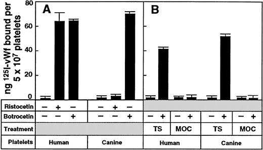Fig. 1. Species-specific binding of vWf to human or canine platelets. / (A) Specific binding of 125I-labeled vWf (1 μg/mL) to washed human or canine platelets (5 × 107) in the presence of either ristocetin (1 mg/mL final concentration) or botrocetin (2.5 μg/mL final concentration) for 30 minutes at 22°C. Nonspecific binding was determined in the absence of modulator in a parallel assay. Data are the means of triplicate determinations (± SEM) and are representative of 3 separate experiments with different populations of cells. (B) Botrocetin-dependent binding of 125I-labeled vWf (1 μg/mL) to washed human or canine platelets (5 × 108/mL). Platelets were pretreated with TS buffer only or with 10 μg/mL mocarhagin (MOC) for 30 minutes at 22°C, washed once in TS buffer, and resuspended to the original concentration.