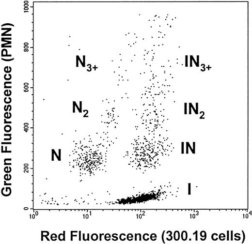 Fig. 1. Flow cytometric detection of neutrophil–ICAM-1 cell aggregation. / Neutrophils (1 × 106 cells/mL) were fluorescently labeled green (CD45-FITC) and ICAM-1 300.19 cells (2 × 106 cells/mL) were labeled red (LDS-751) for 10 minutes at room temperature. The 2 cell populations were combined in the cone-plate viscometer and equilibrated to 37°C in buffer containing 1.5 mmol/L Ca++ for 2 minutes before stimulation with 1 μmol/L fMLP and initiation of fluid shear. Samples were taken at prescribed time points and immediately fixed in 0.5% cold formaldehyde. Two-color flow cytometry was used to detect distinct populations of single neutrophils (N) and 300.19 ICAM-1 cells (I); homotypic neutrophil doublets (N2) and triplets (N3); and 2-color heterotypic aggregates containing a single 300.19 cell bound to 1 (IN), 2 (IN2), or 3 or more neutrophils (IN3+). Representative dot plot depicts aggregation of neutrophils with Ihigh at 600 s−1 at 1 minute after stimulation and initiation of shear. Each dot represents a single particle event containing 1 or more cells.