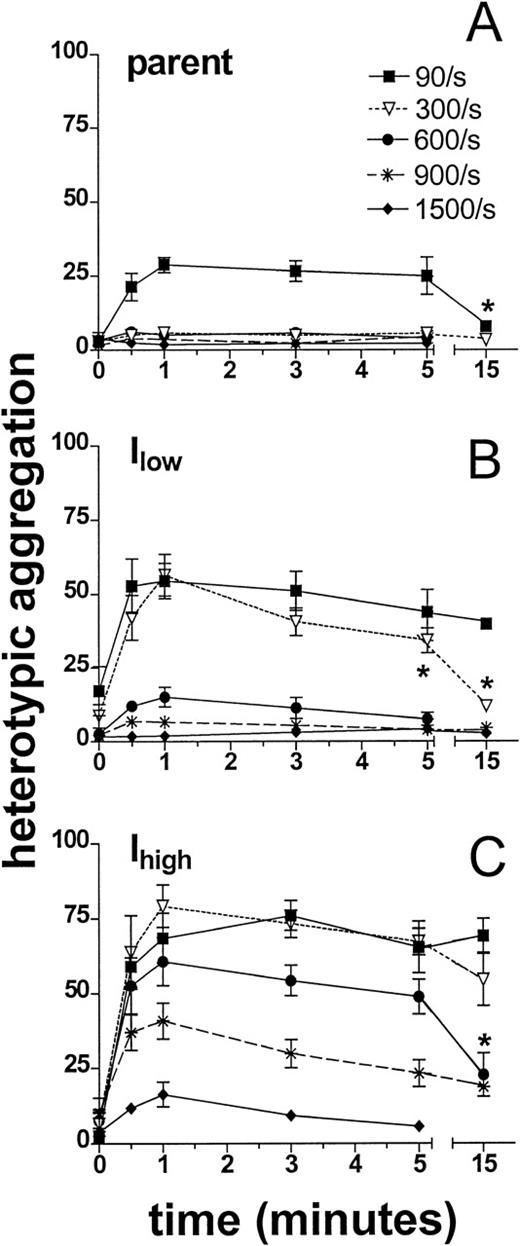 Fig. 2. The kinetics of heterotypic aggregation following shear and fMLP stimulation. / Neutrophils (1 × 106 cells/mL) and 300.19 cells (2 × 106 cells/mL) were labeled, stimulated, and sheared as described in Figure 1. Aggregation was monitored as described in “Materials and Methods.” Heterotypic aggregation is presented as the percentage of total neutrophils bound to a 300.19 cell. Aggregation kinetics over a range of shear rates as denoted are plotted for the parent 300.19 cell line (A) and for transfected clones expressing ICAM-1 at (B) low levels (Ilow) and (C) 8-fold higher levels (Ihigh). *P < .05 compared with peak aggregation at the same shear rate. Data are presented as mean ± SEM from 3 to 7 separate experiments.