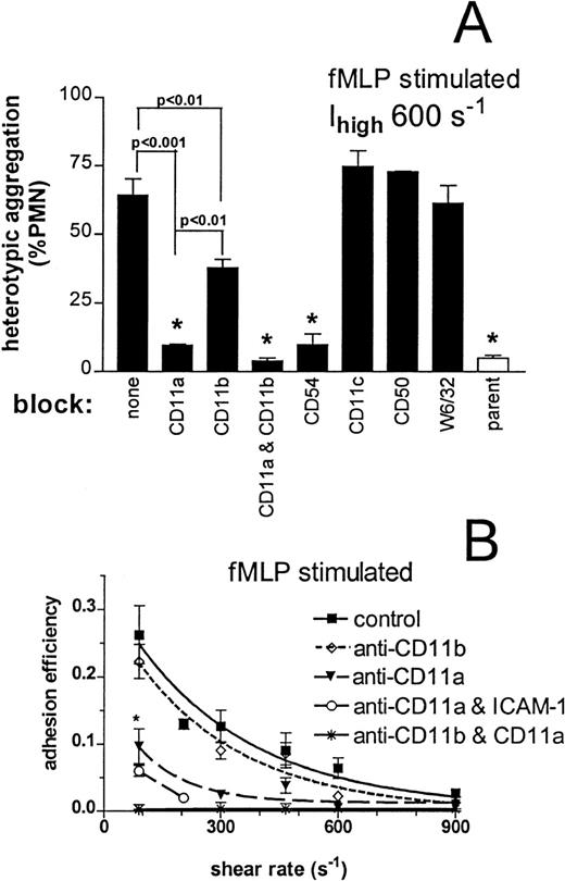 Fig. 6. Receptors that support neutrophil adhesion to ICAM-1. / Neutrophils (1 × 106 cells/mL) were preincubated with saturation concentrations of blocking antibodies, mixed with either Ihigh or parent 300.19 cells (2 × 106 cells/mL), stimulated with 1 μmol/L fMLP, and sheared in the cone-plate viscometer. (A) Peak heterotypic aggregation at 1 minute after stimulation with fMLP and initiation of shear at 600 s−1 is compared for saturating concentrations of blocking antibodies as denoted. The open bar depicts binding to the nontransfected parent 300.19 cell. *P > .05 compared with other bars with the same symbol. (B) Adhesion efficiency for aggregation mediated through CD11a/CD18 and CD11b/CD18. The kinetics of heterotypic aggregation over the first 60 seconds after stimulation with fMLP and initiation of shear were fit with a mathematical model at each shear rate. Smooth lines represent curves fit to experimental data with a first-order exponential decay function. *P < .05 compared with control at the same shear rate. Data are presented as mean ± SEM from 3 to 6 separate experiments.
