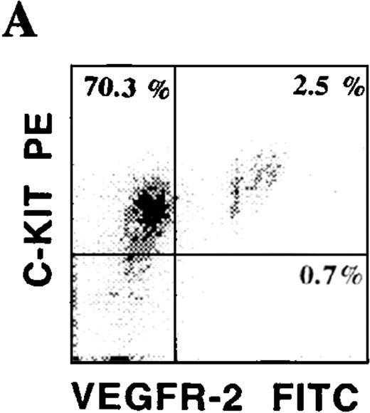Fig. 3. Phenotypic characterization of circulating endothelial cells and CEPs. / Circulating VEGFR-2− endothelial cells express common hematopoietic and endothelial markers, such as C-kit (A), CD13, and PECAM as well as endothelial-specific markers, including E-selectin and VE-cadherin (C). The chemokine receptor for SDF-1, CXCR-4, is expressed on almost all of the CD34+VEGFR-2+ cells (B). VEGFR-2+ cells do not express myelomonocytic specific markers, including CD15 and CD14.