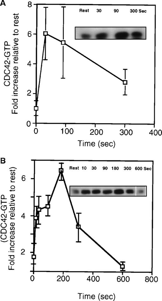Fig. 4. Quantitation of GTP-cdc42 from high-speed supernatant prepared from resting platelets or platelets stimulated with 25 μmol/L TRAP or 1 U/mL thrombin. / (A) Measurement of GTP-cdc42 in high-speed platelet supernatant. The plot is an average of 4 experiments (mean ± SD). (inset) Representative anti-cdc42 immunoblot from resting or TRAP-activated cells (30 to 300 seconds). The graph shows that there is a 6-fold increase in the relative amount of GTP-cdc42 collected 30 seconds after TRAP activation. (inset) Representative immunoblot of cdc42 collected with the bead complexes. (B) Graph showing GTP-cdc42 after thrombin (1 U/mL) stimulation of platelets (n = 3, mean ± SD). (inset) Representative experiment of cdc42 bound to the beads in high-speed supernatant from resting or thrombin/TRAP activated cells.