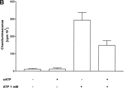 Fig. 3. Influence of ATP on the respiratory burst in eosinophils. / (A) Time courses of lucigenin-dependent chemiluminescence responses in eosinophils upon stimulation with medium (——) or ATP in three concentrations: 1000 μmol/L (–––), 100 μmol/L (——), and 10 μmol/L (· · · ·). Representative data of 1 experiment are shown. The experiments were repeated 5 times with similar results. (B) Eosinophils were pretreated with or without 300 μmol/L oATP for 2 hours at 37°C and then stimulated with 100 μmol/L ATP. Data are means ± SEM (n = 5). Global differences between groups:P ≤ .0001 (analysis of variance program, ANOVA);P ≤ .001 (**) compared with oxidized ATP-pretreated cells (Tukey multiple comparison test).