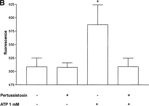 Fig. 5. Influence of pertussis toxin on the eosinophil functions. / Cells were incubated without or with 1 μg/mL pertussis toxin for 2 hours at 37°C and thereafter stimulated without or with 1 mmol/L ATP. (A) Lucigenin-dependent chemiluminescence in eosinophils was followed for 1 hour, and the integral counts were calculated. Data are means ± SEM (n = 5). (B) Actin polymerization after stimulation for 25 seconds was analyzed. Data are means ± SEM (n = 8). (C) Expression of CD11b was analyzed by flow cytometry after stimulation for 30 minutes. Data are means ± SEM (n = 6). (D) Ca++ transients were analyzed, and the ratio after stimulation for 10 seconds is given. Data are means ± SEM (n = 5). Global differences between groups: P ≤ .0001 (ANOVA); P ≤ .0001 (***) compared with pertussis toxin–pretreated cells (Tukey multiple comparison test);P ≤ .001 (**) compared with pertussis toxin–pretreated cells (Tukey test); P ≤ .01 (*) compared with pertussis toxin–pretreated cells (Tukey test).