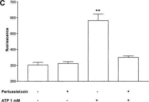Fig. 5. Influence of pertussis toxin on the eosinophil functions. / Cells were incubated without or with 1 μg/mL pertussis toxin for 2 hours at 37°C and thereafter stimulated without or with 1 mmol/L ATP. (A) Lucigenin-dependent chemiluminescence in eosinophils was followed for 1 hour, and the integral counts were calculated. Data are means ± SEM (n = 5). (B) Actin polymerization after stimulation for 25 seconds was analyzed. Data are means ± SEM (n = 8). (C) Expression of CD11b was analyzed by flow cytometry after stimulation for 30 minutes. Data are means ± SEM (n = 6). (D) Ca++ transients were analyzed, and the ratio after stimulation for 10 seconds is given. Data are means ± SEM (n = 5). Global differences between groups: P ≤ .0001 (ANOVA); P ≤ .0001 (***) compared with pertussis toxin–pretreated cells (Tukey multiple comparison test);P ≤ .001 (**) compared with pertussis toxin–pretreated cells (Tukey test); P ≤ .01 (*) compared with pertussis toxin–pretreated cells (Tukey test).