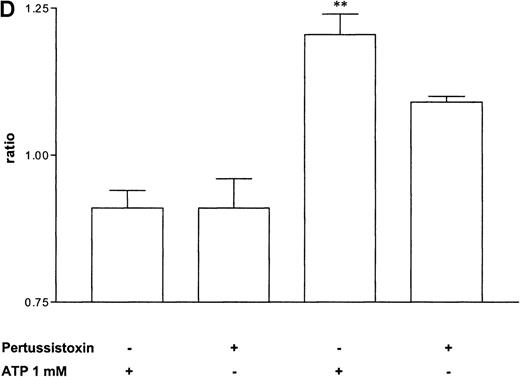 Fig. 5. Influence of pertussis toxin on the eosinophil functions. / Cells were incubated without or with 1 μg/mL pertussis toxin for 2 hours at 37°C and thereafter stimulated without or with 1 mmol/L ATP. (A) Lucigenin-dependent chemiluminescence in eosinophils was followed for 1 hour, and the integral counts were calculated. Data are means ± SEM (n = 5). (B) Actin polymerization after stimulation for 25 seconds was analyzed. Data are means ± SEM (n = 8). (C) Expression of CD11b was analyzed by flow cytometry after stimulation for 30 minutes. Data are means ± SEM (n = 6). (D) Ca++ transients were analyzed, and the ratio after stimulation for 10 seconds is given. Data are means ± SEM (n = 5). Global differences between groups: P ≤ .0001 (ANOVA); P ≤ .0001 (***) compared with pertussis toxin–pretreated cells (Tukey multiple comparison test);P ≤ .001 (**) compared with pertussis toxin–pretreated cells (Tukey test); P ≤ .01 (*) compared with pertussis toxin–pretreated cells (Tukey test).
