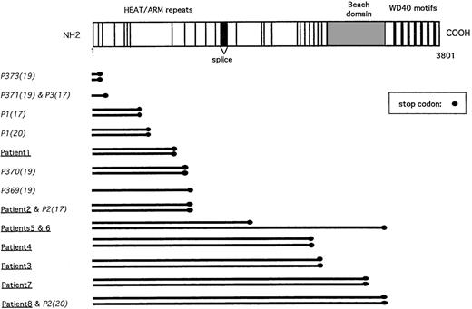 Fig. 2. Representation of the LYST gene mutations. / Schematic representation of the LYST protein with its known motifs (HEAT and ARM repeats, BEACH domain, WD40 repeats), as previously described.17 LYST gene mutations described herein (underlined), as well as previously reported (italics), with their respective references in parentheses, are listed.