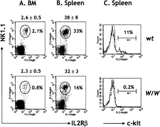 Fig. 2. NK cells in W/W chimeras. / BM (A) and spleen cells (B) were red-cell depleted and stained with a combination of antibodies for IL-2RβFITC, NK1.1PE, TCRαβbiot, and CD19biot. Absolute cell numbers (×106) are indicated on top of each dot plot and refer to the mean ± SD of 7 chimeras per group. An electronic gate was set to exclude TCRαβ+ T cells and CD19+ B cells, and the percentage of IL-2Rβ+ NK1.1+ NK cells was calculated. (C) Spleen cells were stained for DX5FITC, TCRαβbiot, and c-kitPE. The percentages of c-kit+ DX5+ TCRαβ− NK cells are indicated. Results are representative of 5 independent experiments.