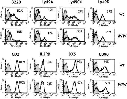 Fig. 3. Phenotype of W/W NK cells. / Spleen cells were red-cell depleted and stained with the indicated FITC-labeled antibodies in combination with NK1.1PE, TCRαβbiot, and CD19biot. An electronic gate was set to exclude TCRαβ+ T cells and CD19+B cells. The percentage of NK1.1+ NK cells positive for the indicated marker (white histograms) was calculated over the background of an isotype-matched control mAb (gray histograms). Results are representative of 3 independent experiments comprising 6 wt and 6 W/W chimeras.