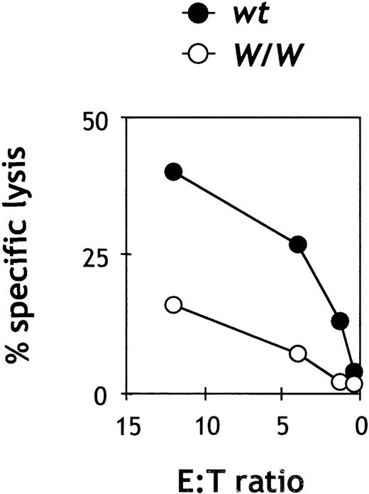 Fig. 4. Cytotoxic activity of purified W/W NK cells. / Spleen cells were depleted of red cells, B cells, and T cells and stained with IL-2Rβ and DX5. Double-positive NK cells were sorted and plated at the indicated E/T ratios with 2500-5000 YAC-1 target cells. All assays were done in duplicate or triplicate. Results are representative of 2 independent experiments. The spontaneous release was less than 10% of the maximal release.