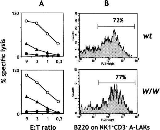 Fig. 5. Cytotoxic activity and phenotype of IL-2–activatedW/W NK cells. / (A) Spleen cells were depleted of red cells, B cells, and T cells, and the remaining cells were used to generate A-LAK cells. Day 7-10 A-LAK cells were used as effectors against YAC-1 cells (○) or EL-4 cells in the presence (▴) or absence of α-CD90 antibodies (•). All assays were done in duplicate or triplicate. (B) Day 7-10 A-LAK cells were stained with antibodies for CD3FITC, NK1.1PE, B220TRIC, and the expression of B220 on NK1.1+ CD3−NK cells was calculated. Data are representative of 3 independent experiments. Similar data were obtained with IL-15 (n = 2; data not shown).