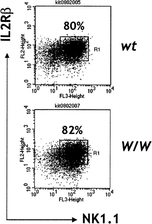 Fig. 6. Surface marker expression of in vitro–generated NK cells. / Day 13 FL cells were cultured in the presence of flk2L /flt3L, SCF, and IL-7 for a week followed by culture in IL-2 (1000 units/mL) alone, for an additional week. Representative of 2 independent experiments.