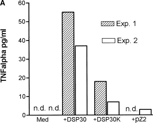 Fig. 3. Cytokine release of chronic lymphocytic leukemia (CLL) B cells activated by DSP30, DSP30K, and pZ2. / After 48 hours of culture at 106 cells/mL, supernatants of cells cultured in medium alone or stimulated with DSP30, DSP30K, and pZ2 with (B) or without (A) CD40LF were tested for production of tumor necrosis factor α with the use of an enzyme-linked immunosorbent assay system. Data of two independent experiments (exp. 1, exp. 2) are presented as the mean of duplicate values; n.d. means not detectable.