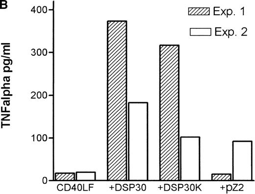 Fig. 3. Cytokine release of chronic lymphocytic leukemia (CLL) B cells activated by DSP30, DSP30K, and pZ2. / After 48 hours of culture at 106 cells/mL, supernatants of cells cultured in medium alone or stimulated with DSP30, DSP30K, and pZ2 with (B) or without (A) CD40LF were tested for production of tumor necrosis factor α with the use of an enzyme-linked immunosorbent assay system. Data of two independent experiments (exp. 1, exp. 2) are presented as the mean of duplicate values; n.d. means not detectable.
