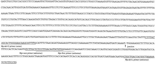 Fig. 2. DNA sequence of the junction region of theHpdel allele. / The positions of PCR primers are underlined. An arrow indicates the junction. The LTR-like sequences are italicized.