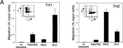 Fig. 5. vMIP-III selectively chemoattracts TH2 cells. / (A) Peripheral blood-derived CD4+ TH1 and TH2 lines were confirmed for their respective lineage designation by intracellular staining for IFN-γ and IL-4 (inset) and tested with lineage-specific chemokines RANTES (TH1), MDC (TH2), and ELC (TH1/2) in chemotaxis assays. Chemokine concentrations were used at concentrations that elicited maximal chemotaxis (10 nmol/L for RANTES and MDC; 5 nmol/L for ELC). (B) TH1 and TH2 lines were examined for their ability to undergo chemotaxis in response to vMIP-III. The chemotactic profile is similar to that for CCR4 transfectants (Figure 4B).