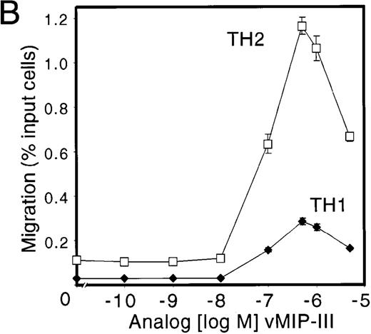 Fig. 5. vMIP-III selectively chemoattracts TH2 cells. / (A) Peripheral blood-derived CD4+ TH1 and TH2 lines were confirmed for their respective lineage designation by intracellular staining for IFN-γ and IL-4 (inset) and tested with lineage-specific chemokines RANTES (TH1), MDC (TH2), and ELC (TH1/2) in chemotaxis assays. Chemokine concentrations were used at concentrations that elicited maximal chemotaxis (10 nmol/L for RANTES and MDC; 5 nmol/L for ELC). (B) TH1 and TH2 lines were examined for their ability to undergo chemotaxis in response to vMIP-III. The chemotactic profile is similar to that for CCR4 transfectants (Figure 4B).