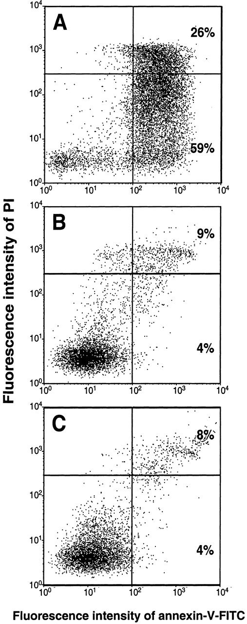 Fig. 4. PF4 prevents monocytes from undergoing spontaneous apoptosis. / Monocytes were cultured for 72 hours (A) in medium alone, (B) in the presence of 4 μmol/L PF4, or (C) in 1 ng/mL GM-CSF. After simultaneous staining with annexin-V–FITC and PI, cells were analyzed by flow cytometry, as described under “Materials and Methods.” The upper right quadrant represents necrotic cells; the lower right quadrant represents apoptotic cells; and the lower left quadrant represents viable, nonapoptotic cells. Data are derived from 1 representative experiment out of 13. Statistical differences between numbers of apoptotic cells of untreated and PF4-stimulated or GM-CSF–stimulated cells were observed with P < .002 (n = 13).