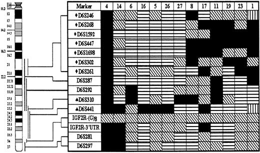LOH hot spots on chromosome 6q in gastric high-grade large B-cell lymphoma