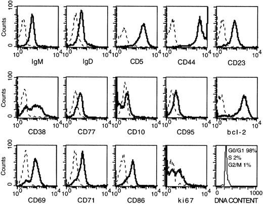 Fig. 1. Phenotypical analysis of CD38-positive B-CLL cells. / Solid lines: Freshly prepared B-CLL cells were stained with the indicated mAb by indirect immunofluorescence. Dashes: Control stainings with an irrelevant mAb. Cells were permeabilized before the staining for Bcl-2, Ki-67, and cell-cycle analysis. Data are the results of 1 representative test (patient D) of the 10 performed (A-L) on patients with CD38-positive B-CLL.