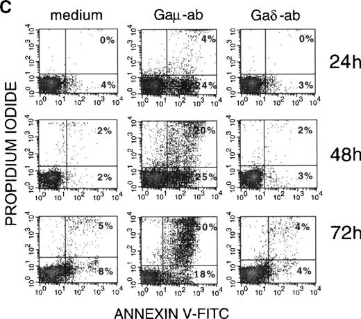 Fig. 2. Apoptosis in CD38-positive B-CLL cells exposed to Gaμ-ab or Gaδ-ab. / (A) B-CLL cells were cultured in the presence of Gaμ-ab, Gaδ-ab, or NGI at the concentration of 10 μg/mL. After 18 hours, apoptotic cells in the cultures were measured by PI staining of permeabilized cells. Data represent the mean ± SD of the values obtained in the 10 patients with B-CLL (A-L). (B) B-CLL cells from patient G were incubated with the indicated concentrations of Gaμ-ab (▪), Gaδ-ab (▴), or NGI (○) for 18 hours, after which apoptosis was determined as above. (C) B-CLL cells from patient D were cultured in the presence of Gaμ-ab, Gaδ-ab, or NGI for the indicated time. At the end of the cultures, cells were double stained in suspension with Annexin-V FITC (to detect apoptotic cells) and PI (to detect late apoptotic or nonviable cells) and then analyzed by flow cytometry. Data in B and C represent 1 typical experiment of the 6 performed (patients B, C, G, D, F, I).