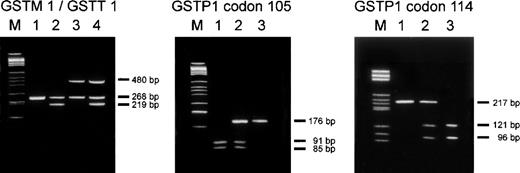Fig. 1. Genotype analyses of GSTM1, GSTT1, andGSTP1. / Left panel: Agarose gel electrophoresis of PCR products from a multiplex PCR experiment for simultaneous assessment of GSTM1and GSTT1 status.33 The PCR products amplified from the GSTM1 and GSTT1 loci are 219 bp and 480 bp in size, respectively. A 268 bp fragment from the β-globin locus was coamplified for internal control purposes. Lane 1 shows an individual with a homozygous deletion of GSTM1 and GSTT1. Lane 2 shows an individual in which GSTM1 can be detected butGSTT1 is homozygously deleted. In lane 3, GSTM1 is absent while a PCR product from the GSTT1 locus can be detected. In lane 4 both GSTM1 and GSTT1 are present. M = DNA size standard. Middle and right panel: Detection ofGSTP1 codon 105 and codon 114 genotypes by agarose gel electrophoresis of PCR products after digestion with the restriction endonucleases BsmAI and AciI, respectively.1034 The sequence polymorphism at GSTP1 codon 105 creates a restriction site for BsmAI within the resulting 176 bp PCR product, leading to the generation of 2 fragments of 91 bp and 85 bp, respectively. Thus, in individuals homozygous for this polymorphism (Val105/Val105) the 176 bp PCR product is completely digested into 2 fragments (lane 1). Lane 2 displays a heterozygous individual (Ile105/Val105), and in lane 3 an individual homozygous for the Ile105-coding allele is shown. The polymorphism at GSTP1 codon 114 leads to the loss of an AciI restriction site. Thus, individuals homozygous for the Val114 allele only show the undigested 217 bp PCR product (lane 1). Heterozygous individuals (Ala114/Val114) show the undigested product and 2 additional fragments (121 bp and 96 bp) resulting from its digestion (lane 2), and individuals homozygous for Ala114 are characterized by the sole presence of the digestion products of 121 bp and 96 bp (lane 3). M = DNA size standard.