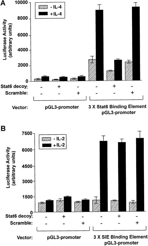 Fig. 9. Effects of Stat6 decoy ODN on transactivation of Stat6 compared with Stat1/3 in cultured D10 cells. / (A) D10 cells treated with Stat6 decoy ODN or scrambled decoy ODN were co-transfected with a 3 × Stat6 binding element pGL3 promoter–luciferase construct or with pGL3 promoter–luciferase construct alone. After transfection, cells were stimulated with or without IL-4 (100 nmol/L). Cells were harvested after an additional 24 hours, and luciferase activity was measured and normalized against protein concentration. (B) D10 cells treated with Stat6 decoy ODN, or scrambled decoy ODN were co-transfected with a 3 × SIE binding element pGL3 promoter–luciferase construct or with pGL3 promoter–luciferase construct alone. After transfection, cells were stimulated with or without IL-2 (100 nmol/L). Cells were harvested after an additional 24 hours, and luciferase activity was measured and normalized against protein concentration.