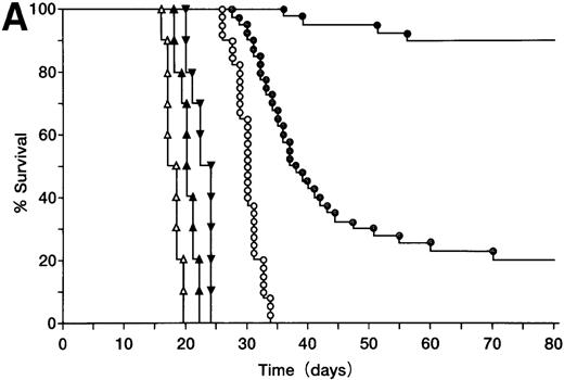 Fig. 3. Protection against tumor challenge with ST40L. / (A) A20 cells (105) were administered subcutaneously to BALB/c mice with 109 CFU of ST40L (•, upper line), 109 CFU of ST (⊙, middle line), or PBS (○, lower line) being given by simultaneous oral administration. As a control, wehi-3 CD40 negative cells were treated by the administration of ST40L (▴), ST(▾), or PBS(▵), in a similar manner to that above. (B) Differing numbers of A20 cells were subcutaneously injected into BALB/c mice (40 mice for each condition) with either 109 CFU of ST40L (A20 cell number: 105, •;106, ▴;107, ▪) or PBS (A20 cell number: 105, ○;106, ▵;107, □) being given by simultaneous oral administration. (C) BALB/c mice were preimmunized with ST40L 1 week (▴), 2 weeks (▪), or 3 weeks (▾) before A20 challenge (105 SC). The survival curves were compared with simultaneous immunization with ST40L (•) or PBS (○). (D) BALB/c mice were postimmunized with ST40L 1 week (▴), 2 weeks (▪), or 3 weeks (▾) following A20 challenge (105 SC). The survival curves were compared with simultaneous immunization with ST40L (•) or PBS (○).
