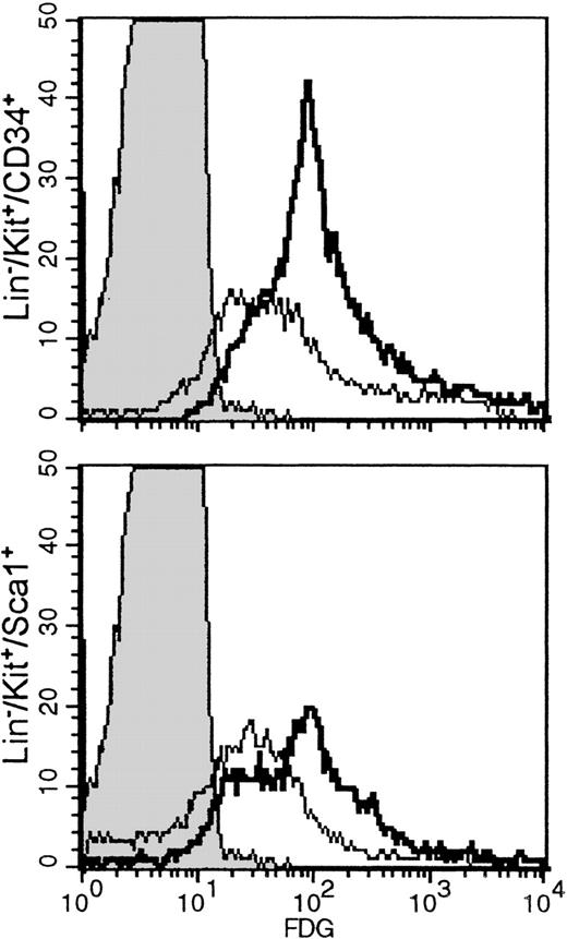 Fig. 5. Lineage-depleted fetal liver cells or newborn bone marrow cells labeled with anti-CD34 and anti-kit or anti-kit and anti-Sca−1, followed by FDG labeling. / Histograms shown are from gated populations that were either Lin−/kit+/34+ or Lin−/kit+/Sca−1+. Negative controls (indicated by shaded peaks) are non-FDG-labeled fetal liver Lin− cells. In fetal liver (bold lines), the proportion of FDG(+) cells in the Lin−/kit+/34+ subset was 93.3%, and the Lin−/kit+/Sca−1+ was 79.8%, whereas in bone marrow (thin lines) they were 72.6% and 51.6%, respectively.