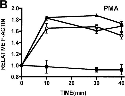 Fig. 5. Kinetics of actin polymerization in WAS, XLT, and control lymphocytes. / (A, B) Actin polymerization in lymphocytes in response to stimulation with 100 nmol/L PMA, 100 nmol/L bryostatin (Bryo), and a buffer control (▪). Error bars represent SEM of duplicate simultaneous determinations for a single donor (control, ▴; WAS, ○; or XLT, ⧫). These graphs are representative of data collected from 2 patients with WAS, 5 patients with XLT, and 5 control donors. (C) Actin polymerization in lymphocytes in response to stimulation with OKT3 anti-CD3-receptor antibody and a buffer control. Error bars represent SEM of duplicate simultaneous determinations for a single donor (control, WAS, or XLT). These graphs are representative of data collected from 1 patient with WAS, 1 patient with XLT, and 2 healthy volunteers.