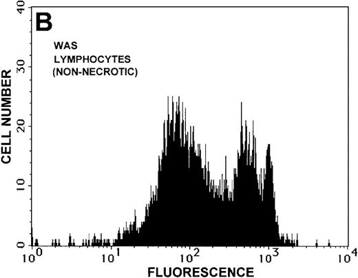 Fig. 8. Caspase-3 activity and actin polymerization response in zVAD-fmk-treated and untreated WAS lymphocytes isolated 24 hours after venipuncture. / (A, B) Activity of caspase-3 in lymphocytes isolated from whole blood that had been incubated at room temperature for 24 hours. Data are expressed as a histogram with fluorescence intensity on the x-axis and cell number on the y-axis. Mean fluorescence intensities of the control and patient lymphocyte populations were 116 and 290, respectively. Graphs are representative of data collected from a single WAS patient and a control. (C, D) Caspase-3 activity in lymphocytes isolated from whole blood (from a single patient with WAS) that had been treated for 24 hours with and without 50 μmol/L zVAD-fmk. (C) Caspase-3 activity in untreated lymphocytes. (D) Caspase-3 activity in treated cells. Note the marked decrease in fluorescence in the treated lymphocytes. Mean fluorescence intensities in untreated and zVAD-fmk–treated WAS lymphocytes were 403 and 223, respectively. Because the instrumental settings of the flow cytometer varied from day to day, these data cannot be compared directly with those shown in A and B. (E) Percentages of viable, apoptotic, and necrotic lymphocytes from WAS lymphocytes isolated from 24-hour-old blood incubated with and without 50 μmol/L zVAD-fmk as defined previously. Graphs are representative of data taken from a single WAS patient and a single control. (F) Actin polymerization response in WAS lymphocytes isolated from 24-hour-old blood incubated with and without 50 μmol/L zVAD-fmk. The actin polymerization response of WAS lymphocytes was stimulated with 100 nmol/L PMA for 40 minutes at 37°C. Error bars represent SEM of duplicate determinations from a single donor (WAS). This graph is representative of data collected from a single patient with WAS.