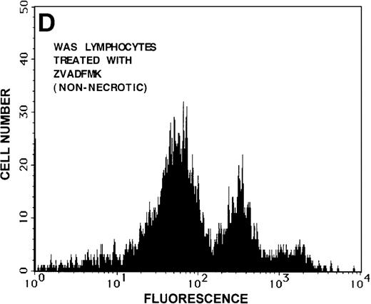 Fig. 8. Caspase-3 activity and actin polymerization response in zVAD-fmk-treated and untreated WAS lymphocytes isolated 24 hours after venipuncture. / (A, B) Activity of caspase-3 in lymphocytes isolated from whole blood that had been incubated at room temperature for 24 hours. Data are expressed as a histogram with fluorescence intensity on the x-axis and cell number on the y-axis. Mean fluorescence intensities of the control and patient lymphocyte populations were 116 and 290, respectively. Graphs are representative of data collected from a single WAS patient and a control. (C, D) Caspase-3 activity in lymphocytes isolated from whole blood (from a single patient with WAS) that had been treated for 24 hours with and without 50 μmol/L zVAD-fmk. (C) Caspase-3 activity in untreated lymphocytes. (D) Caspase-3 activity in treated cells. Note the marked decrease in fluorescence in the treated lymphocytes. Mean fluorescence intensities in untreated and zVAD-fmk–treated WAS lymphocytes were 403 and 223, respectively. Because the instrumental settings of the flow cytometer varied from day to day, these data cannot be compared directly with those shown in A and B. (E) Percentages of viable, apoptotic, and necrotic lymphocytes from WAS lymphocytes isolated from 24-hour-old blood incubated with and without 50 μmol/L zVAD-fmk as defined previously. Graphs are representative of data taken from a single WAS patient and a single control. (F) Actin polymerization response in WAS lymphocytes isolated from 24-hour-old blood incubated with and without 50 μmol/L zVAD-fmk. The actin polymerization response of WAS lymphocytes was stimulated with 100 nmol/L PMA for 40 minutes at 37°C. Error bars represent SEM of duplicate determinations from a single donor (WAS). This graph is representative of data collected from a single patient with WAS.