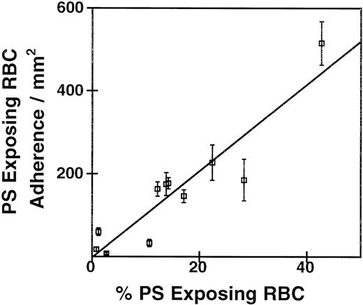Fig. 1. Correlation of PS exposure with adherence to EC monolayers. / Ionophore-treated RBCs were mixed at varying proportions with untreated RBCs. The percentage of PS-exposing RBCs was measured by FACS analysis of annexin binding. Adherence to HUVECs was by a static assay. The coefficients of the linear regression are r = 0.94,P = .001, n = 4.