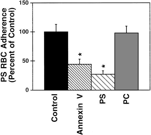 Fig. 3. Effect of blocking agents on PS-exposing RBC adherence to EC monolayers. / PS-exposing RBC suspensions were incubated for 5 minutes with 1 of the following before layering over ECs in a static assay: buffer (Control), annexin V, PS vesicles (20% PS, 80% PC, 5 mmol/L lipid), PC vesicles (100% PC, 5 mmol/L lipid). The mean of the means and standard error of the means of 5 experiments are plotted as percentage of the buffer-treated control adherence, which is set to 100%. * Indicates significant differences from the control.