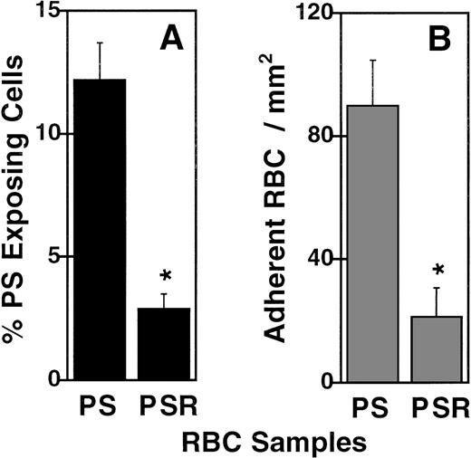 Fig. 4. Reversing PS exposure on ionophore-treated RBCs reduces RBC adherence to ECs. / Percentage annexin V positive RBC (A) and static RBC adherence to HUVECs (B) were measured using ionophore-treated (PS), or ionophore-treated and reversed RBCs (PSR). * indicates a significant reduction by the Student t test (n = 3). Error bars depict the standard error.