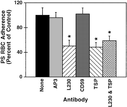 Fig. 8. Effect of blocking antibodies on PS-exposing RBC adherence to EC monolayers. / Confluent EC monolayers were washed and layered in a static assay with PS-exposing RBC suspensions in the presence of 1 of the following: polyclonal antibodies to CD59 or TSP, monoclonal antibodies to αv (L230), or a nonblocking monoclonal antibody to β3 (AP3), or in buffer alone (control). Results are reported as percentage of the control adherence, which is set to 100%. Error bars represent standard error of the means calculated from the absolute values from 4 experiments and normalized relative to the adherence of the buffer-treated control. *Indicates significant differences from the control by the Student t test.