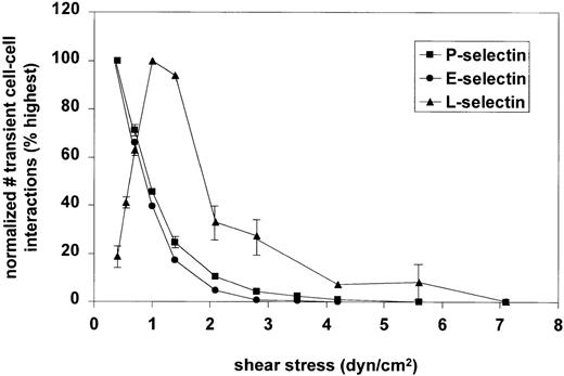 Fig. 6. Shear stress requirement for adhesion of flowing selectin-expressing cells to adherent HL-60 cells. / HL-60 cells were prebound to an antihuman CD43 mAb-coated glass slide. Pre-B L1-2 cells expressing P-, E-, or L-selectin were withdrawn over the prebound HL-60 cells. The number of transient cell-cell interactions was counted and normalized for the number of prebound HL-60 cells, the duration of the experiment, and the flux of cells passing through the system. The data are the average of 2 independent experiments.