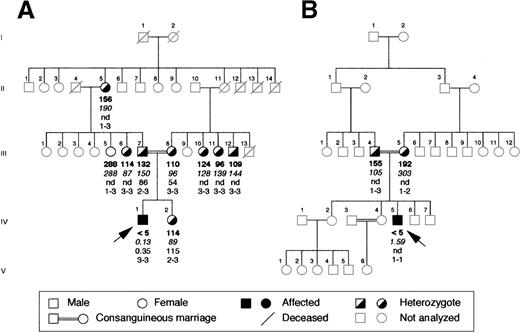 Fig. 1. Family pedigrees of the 2 probands with congenital afibrinogenemia analyzed in this study. / (A) Pedigree of the Italian and (B) of the Iranian family. Plasma functional fibrinogen levels (mg/dL), immunoreactive fibrinogen levels (mg/dL), intraplatelet levels (μg/109 platelets) and haplotypes of the FGA-i3 tetranucleotide repeat marker (alleles numbered from the largest to the smallest) are indicated in this order below each symbol. Arrows indicate the probands. nd, not done.