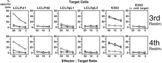 Fig. 5. Cytotoxicity of PBMC of patient 1 against idiotype-expressing autologous LCL after stimulation with idiotype-presenting autologous DC. / CD8+ PBMC of patient 1 were stimulated repetitively with autologous DC loaded or transduced with idiotype derived from the patient's lymphoma cells. Cytotoxic activity was assessed in a standard 51Cr release assay with idiotype-expressing autologous LCL or the NK target cell line K562 as target cells. An excess of unlabeled K562 cells was added to LCL target cells to inhibit NK activity. □: DC loaded with recombinant Fab fragment derived from the patient's lymphoma; ▵ and ▿: DC transduced with SFV vectors encoding autologous lymphoma-derived immunoglobulin heavy or light chain; LCL/Fd1, LCL/IgL1, LCL of patient 1 stably transfected with vectors encoding the idiotype heavy or light chain of the lymphoma of patient 1; LCL/Fd2, LCL/IgL2, LCL of patient 1 stably transfected with vectors encoding the idiotype heavy or light chain of the lymphoma of patient 2.