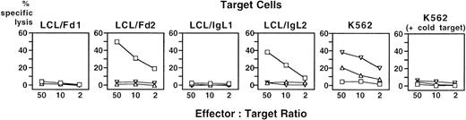 Fig. 6. Cytotoxicity of PBMC of patient 2 against idiotype-expressing autologous LCL after stimulation with idiotype-presenting autologous DC. / CD8+ PBMC of patient 2 were stimulated repetitively with autologous DC loaded or transduced with idiotype derived from the patient's lymphoma cells. Cytotoxic activity was assessed in a standard 51Cr release assay with idiotype-expressing autologous LCL or the NK target cell line K562. An excess of unlabeled K562 cells was added to LCL target cells to inhibit NK activity. □: DC loaded with recombinant Fab fragment derived from the patient's lymphoma; ▵ and ▿: DC transduced with SFV vectors encoding autologous lymphoma-derived immunoglobulin heavy or light chain; LCL/Fd1, LCL/IgL1, LCL of patient 2 stably transfected with vectors encoding the idiotype heavy or light chain of the lymphoma of patient 1; LCL/Fd2, LCL/IgL2, LCL of patient 2 stably transfected with vectors encoding the idiotype heavy or light chain of the lymphoma of patient 2.