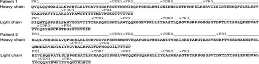 Sequences of lymphoma-derived immunoglobulin heavy and light chains