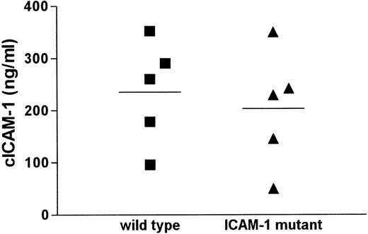 Fig. 1. cICAM-1 concentrations in serum of wild-type and ICAM-1 mutant mice. / Sera from 5 C57BL/6 wild-type and 5 ICAM-1–exon 4 mutant mice were assayed for cICAM-1 by ELISA-1 in duplicate. Mean values are indicated by lines.