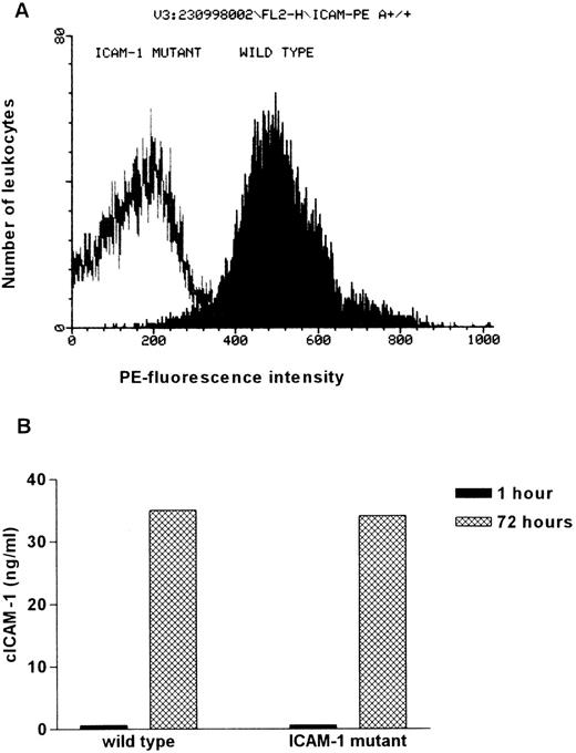 Fig. 2. Comparison of membrane integrated and circulating ICAM-1 in wild-type and ICAM-1–exon 4 mutant mice. / (A) Visualization of the ICAM-1 expression on leukocytes isolated from wild-type and ICAM-1–exon 4 mutant mice. Isolated spleen cells were stimulated with 100 U/mL IFN-γ and 10 ng/mL LPS for 18 hours to increase ICAM-1 expression. Cells were incubated with FITC-conjugated anti-CD45 (1:7) and PE-conjugated anti-ICAM-1 (1:7). In each measurement PE-fluorescence intensity of 10 000 FITC-positive cells was determined. (B) cICAM-1 production by in vitro cultured spleen cells. Freshly isolated spleen cells (5 × 105 cells/well) were cultured for 3 days in RPMI supplemented with 10% FCS and 0.08% β-mercaptoethanol. Supernatant (150 μL) was taken after 1 hour and at the end of cultivation. cICAM-1 concentrations were determined by ELISA-2 in duplicate.