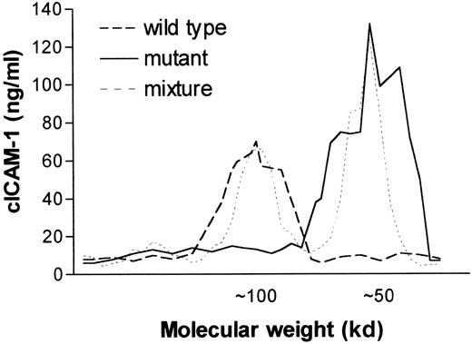 Fig. 4. Comparison of cICAM-1 in wild-type and mutant C57BL/6 mice by fast protein liquid size exclusion chromatography. / Sterile filtered serum (500 μL) from wild-type (+/+), ICAM-1–exon 4 mutant mice (-/-) and a mixture of +/+ and -/-serum were chromatographed on a Superdex-200 column in separate runs. Collected fractions of 0.5 mL were analyzed for the presence of cICAM-1 by ELISA-1. The molecular weight of proteins in the different fractions was estimated from the elution profile of marker proteins of molecular weight in the range of 12 to 200 kd.